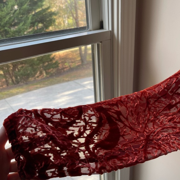 JOHNNY WAS 4 Love and Liberty Rust Velvet Burnout Sheer Silk Top Paisley Boho XS - Picture 4 of 6